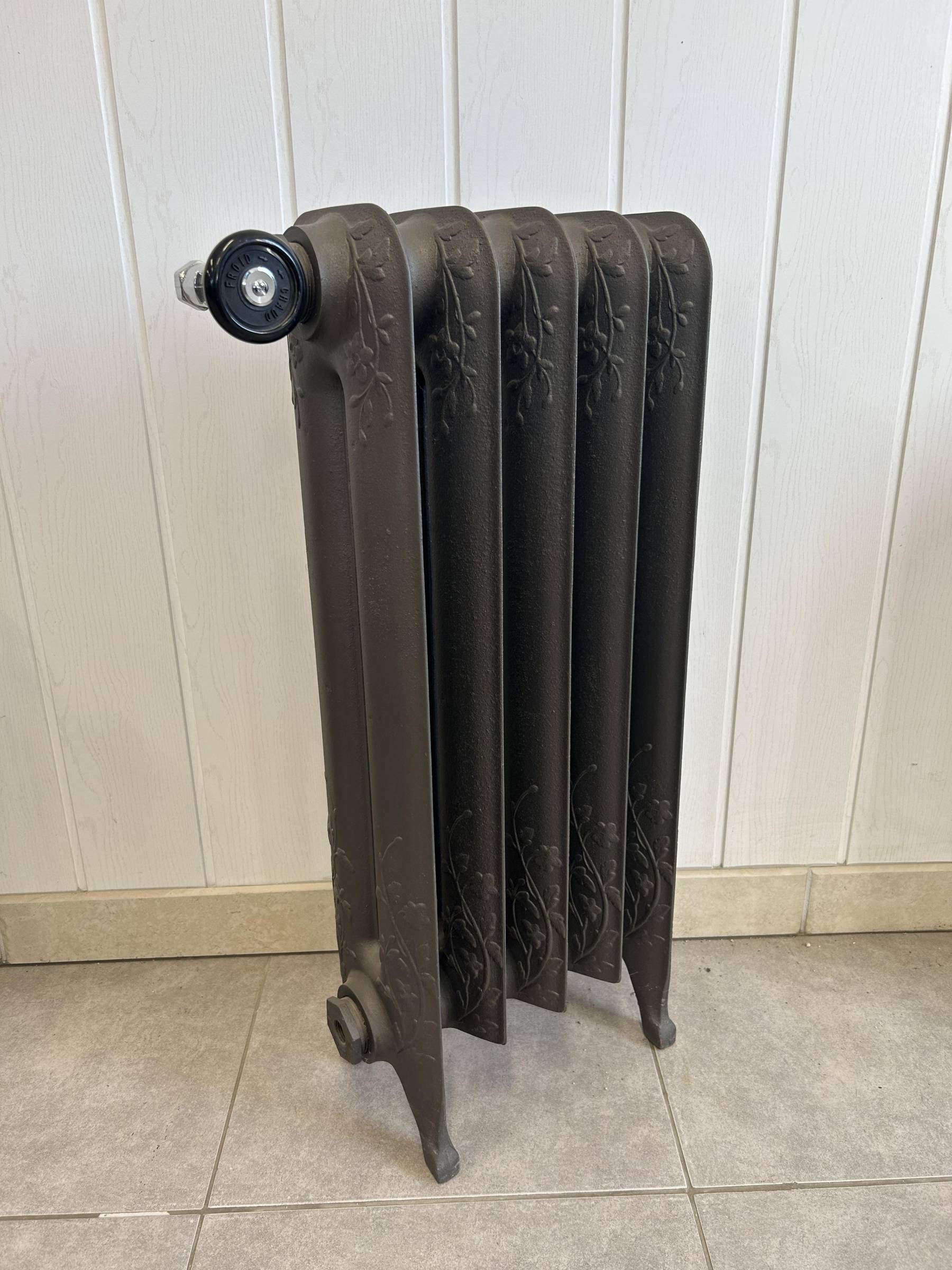 Radiateur fonte Glycine